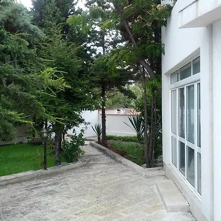 Lichevi *