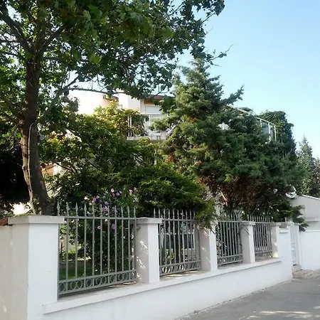 Lichevi * Ravda